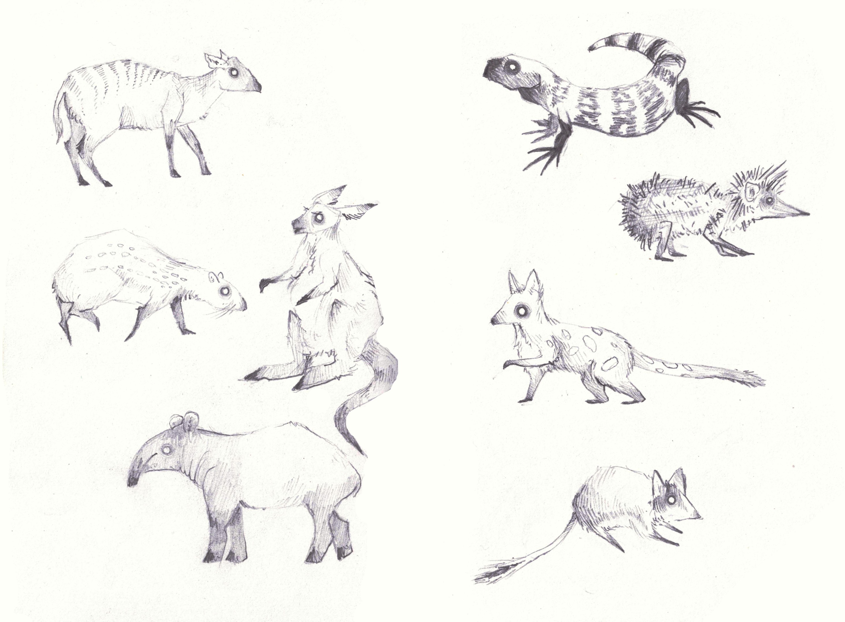 African savanna animals sketches.